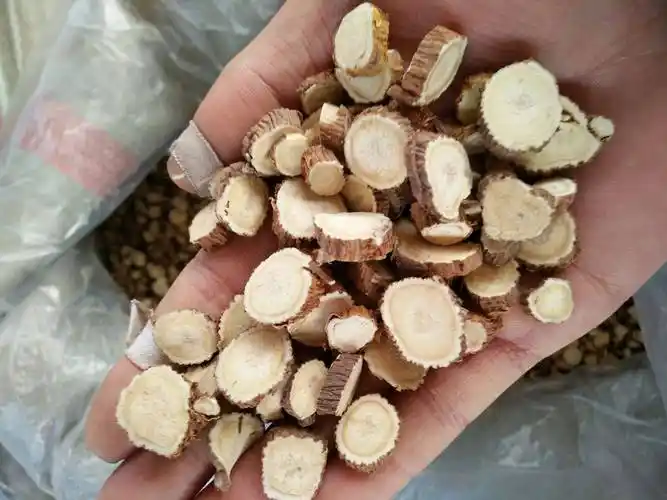 苦参——清热,泻火,解毒,祛湿,止痒功效明显,对初起的青春痘能消除