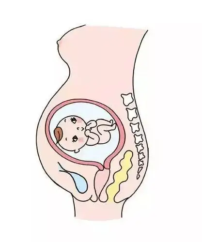 横位的处理方式