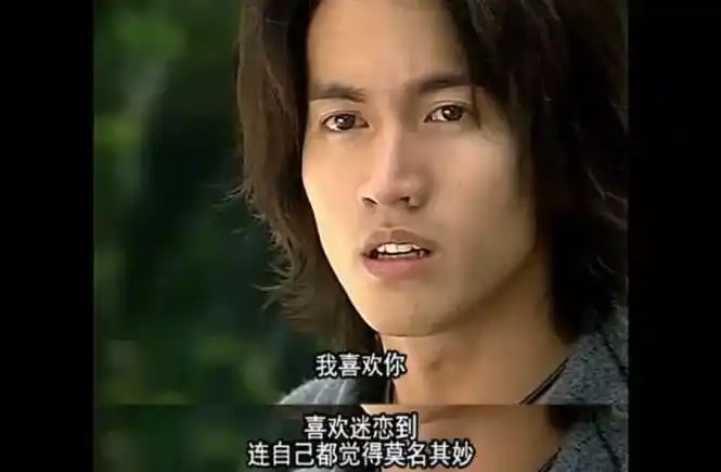 《流星花园》竟是一部鉴婊神剧!