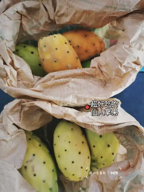 吃过一次就爱上的仙人掌果