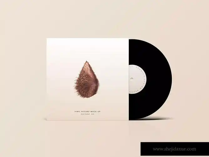 乙烯基唱片包装封面cd封面设计效果图样机vinylrecordmockup