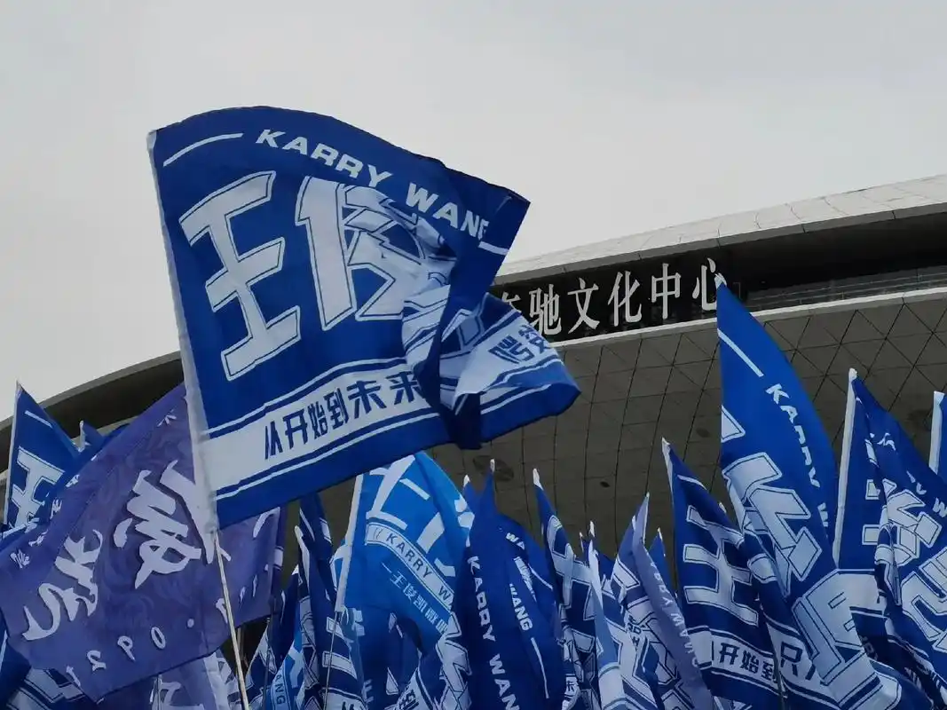 蓝海.旧图新发,来感受一下现场的震撼#粉丝应援 #王俊凯 # - 抖音