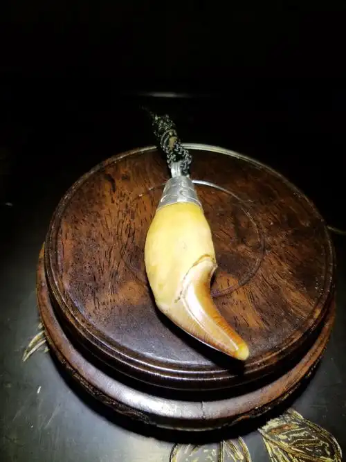 其它 品静茶会微拍六一儿童节特别篇8点准时开拍 写美篇熊牙吊坠牙齿