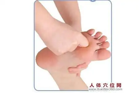 斜方肌--脚底反射区按摩手法 脚底养生