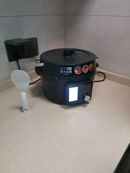 四野团爱丽思电压力锅