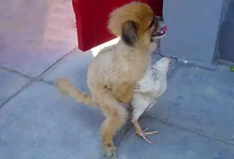 《搞笑雷人囧图荟萃》总有一张图会亮瞎你的眼 20p (第11期)