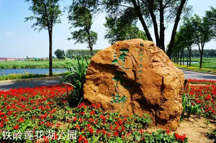 游记自驾铁岭一日游之莲花湖湿地公园