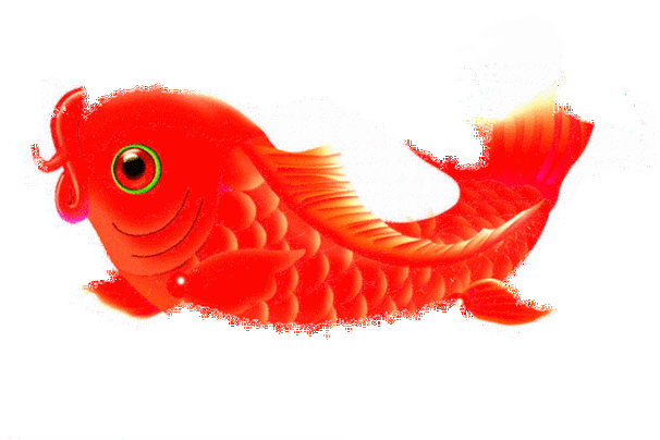 639_426gif 动态图 动图