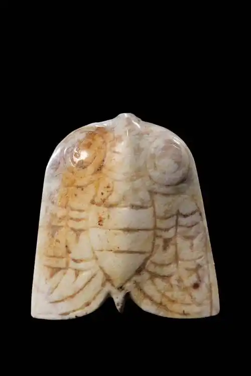 浙江考古奥斯卡来了!2021年度浙江考古重要发现入围vol.1