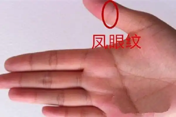 凤眼纹和佛眼纹的区别