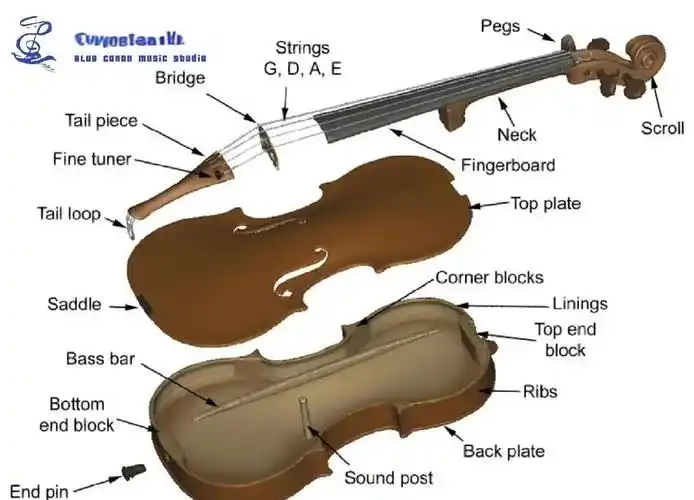 小提琴内部构造图详解