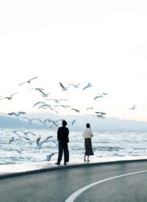 情侣海边看海鸥图片