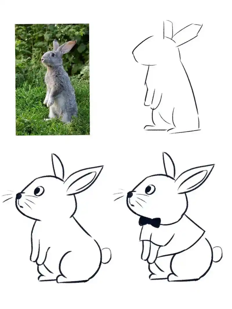 动物简笔画写生篇(一)#图文伙伴计划 #简笔画 #零基础学画 - 抖音