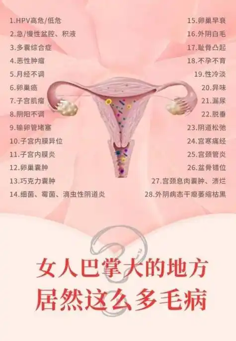 女性的私密处虽然是每个女人深藏于底的神秘花园,但这个花园非常的