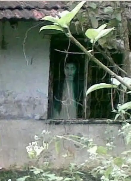 怕鬼的请绕道相机无意间拍摄到的灵异画面组图