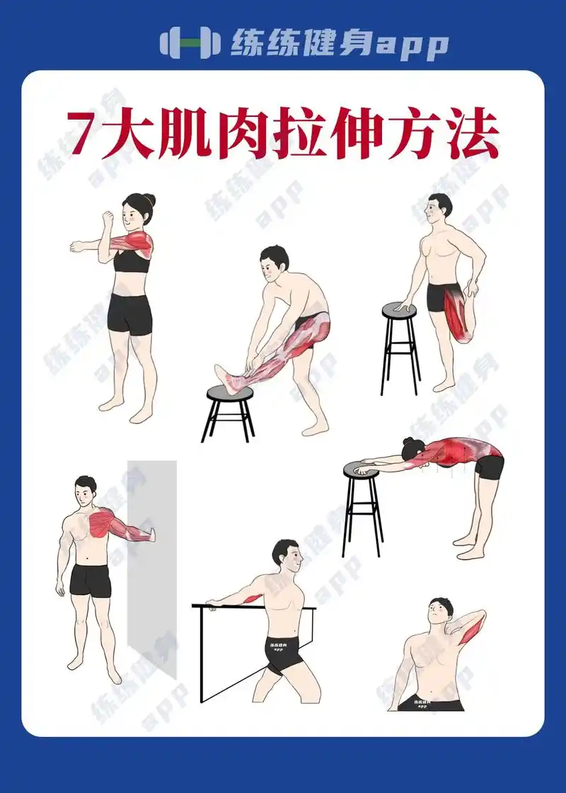 第五张图片腿部那里是肱二头肌!肱二头肌