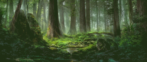 唯美动态壁纸图片高清全屏