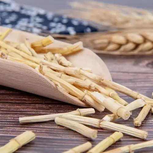 排毒养肾草——鲜白茅根