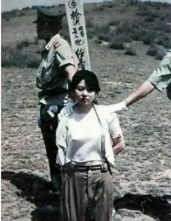 之后陶静就只能被执行枪决,随着枪声的响起一个花一样年纪的少女就此