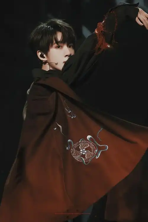 贺峻霖 画报颜值