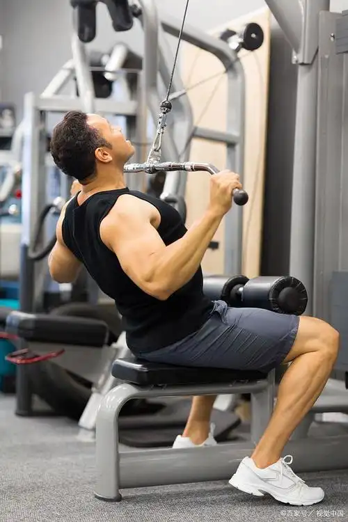 背部训练新选择:竖划船锻炼带来的背部肌肉增强