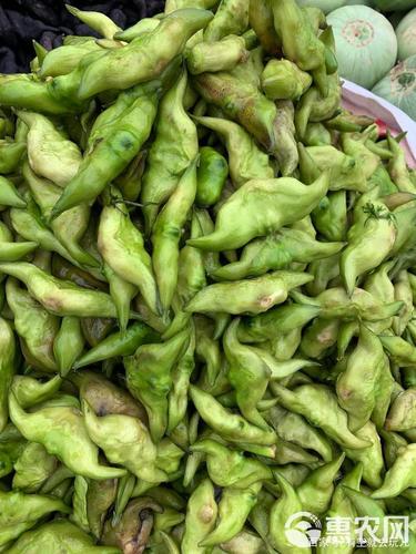 带壳红菱角青菱角1斤湖北洪湖新鲜棱角大菱角