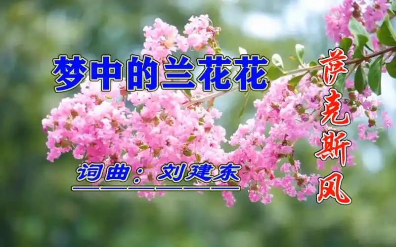 萨克斯风陕北经典民歌梦中的兰花花