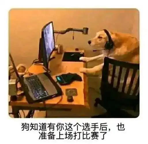 求打游戏用的表情包