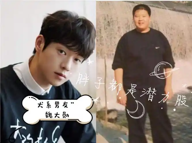 "犬系男友"魏大勋告诉你:胖子都是潜力股.