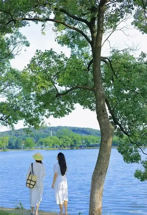 揭秘武汉生活:与传闻不符的城市面貌与人文风情