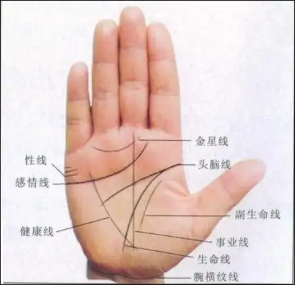 昆叔透露的癌症肿瘤穴位快速诊断法 - 别有病 byb.