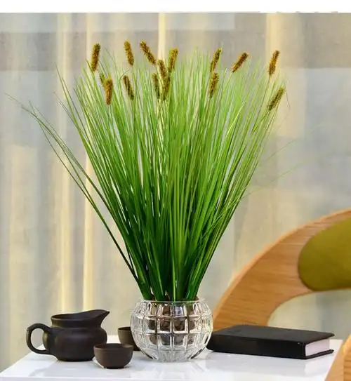 精选现发仿真绿植铜钱草办公室仿真绿色植物客厅室内摆件装饰假花方缸