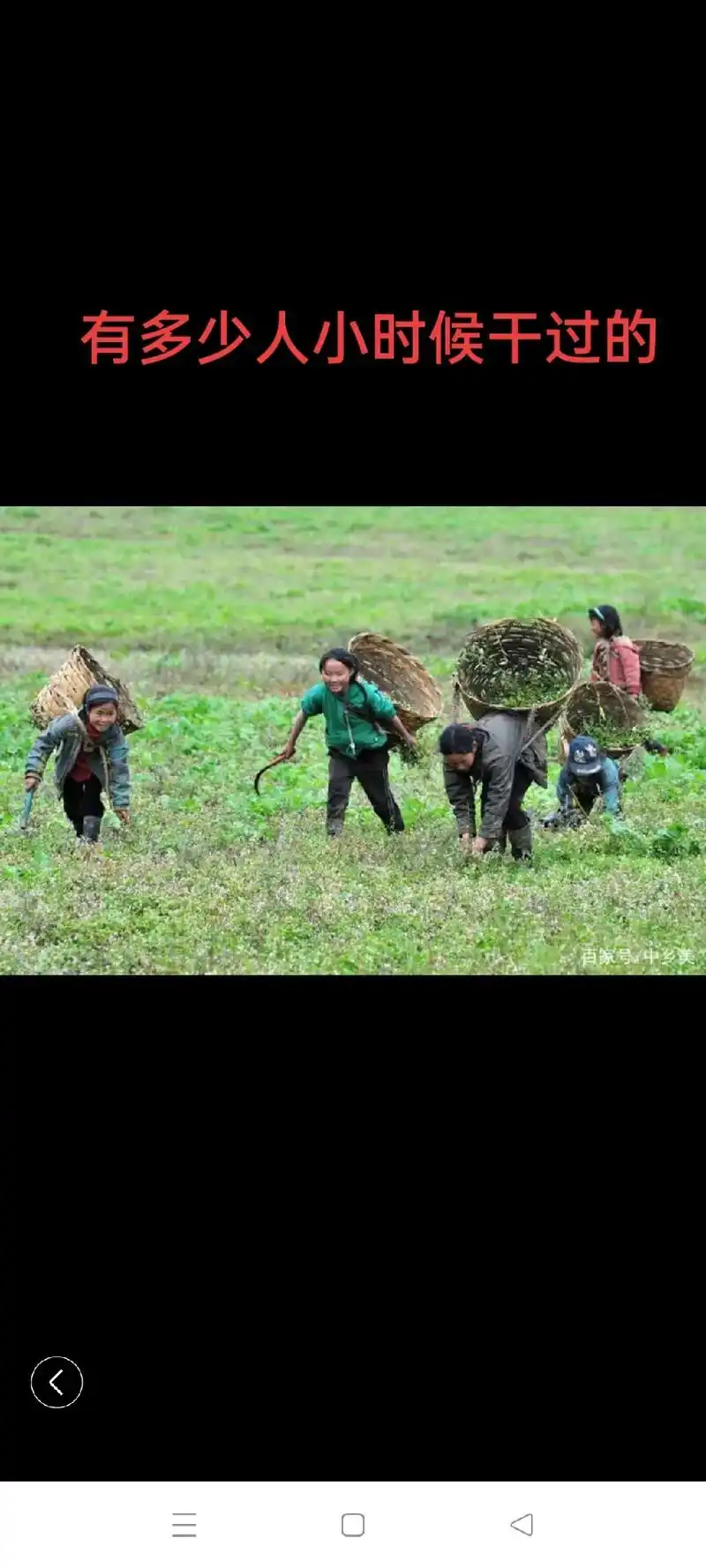怀念小时候割猪草的日子,那时候没有电视,没有手机……只关心哪 - 抖