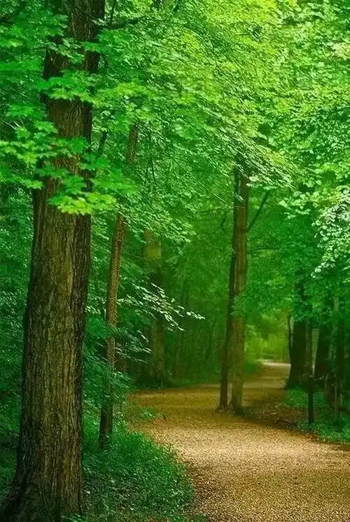 鸟语花香,景色宜人!