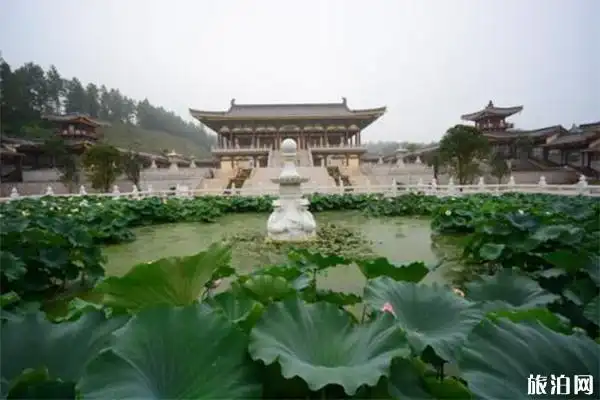 2022七宝莲池游玩攻略 - 地址 - 景点介绍