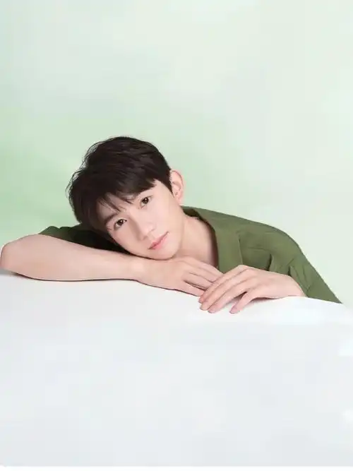 王源溪木源品牌代言人