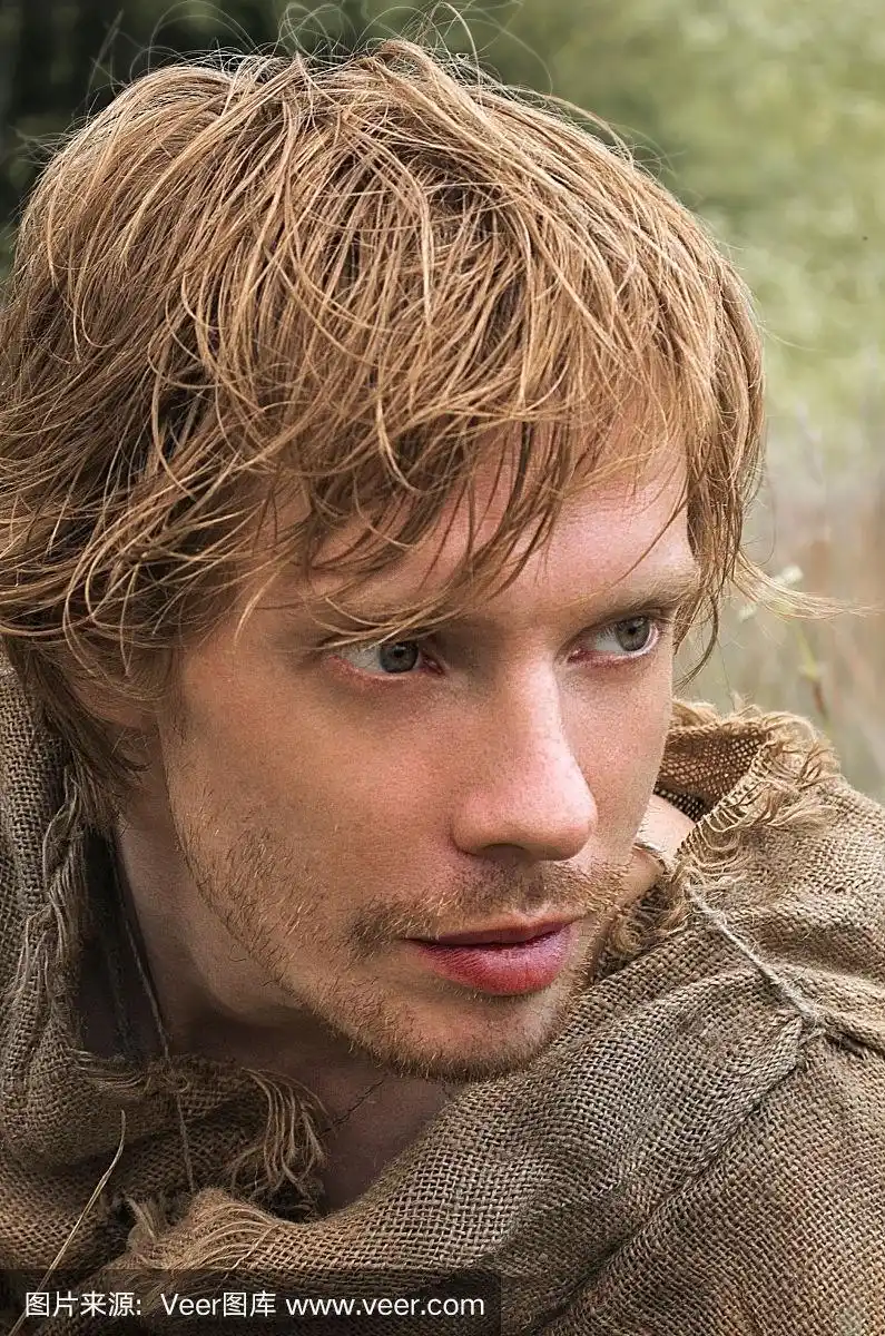 中世纪时代,青年男人,肖像,头发,德鲁伊教