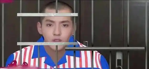 吴亦凡被抓揭秘吴亦凡背后的京圈女王徐静蕾