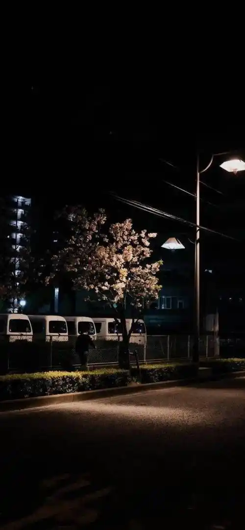 每日壁纸ins风高级小众壁纸手机高清全屏壁纸