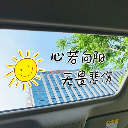 心若向阳无畏悲伤汽车天窗车贴男人创意个性文字没经历过一无所有