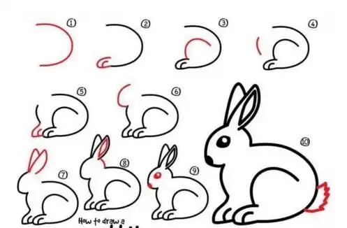 6步教你画兔子_兔子简笔画步骤图分享
