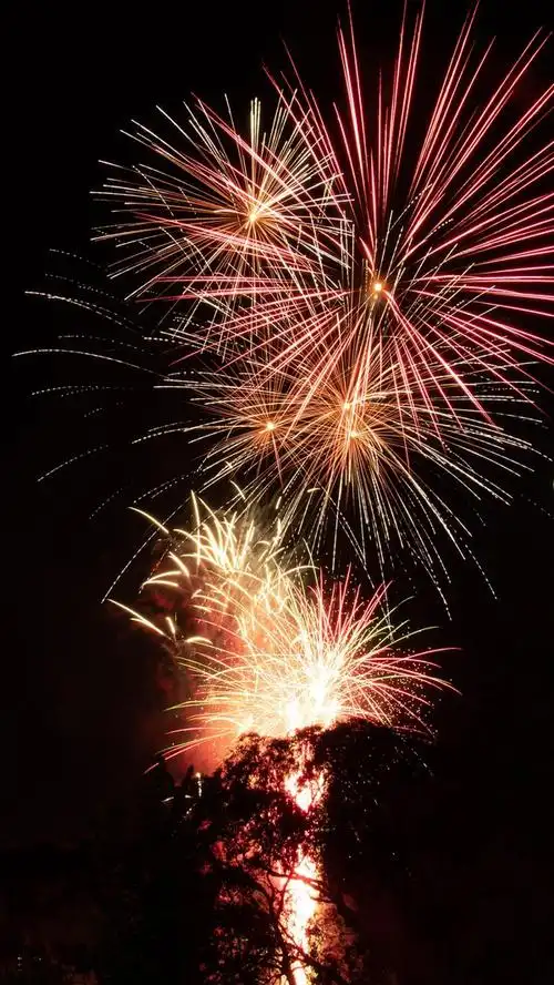 求一张好看的烟花壁纸