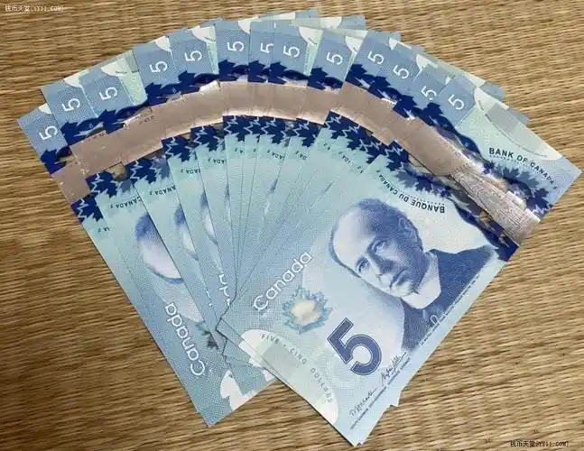 钱币天堂·交易区详情·加拿大塑料钞5元13张