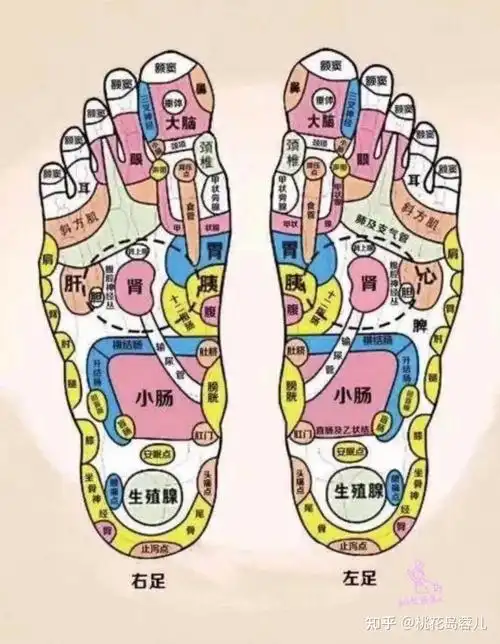 使用足底按摩仪进行足底穴位按摩会强身健体和减肥吗