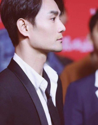 国内有高鼻子的男明星们,刘昊然邓伦黄轩上榜,谁的侧脸更迷人?