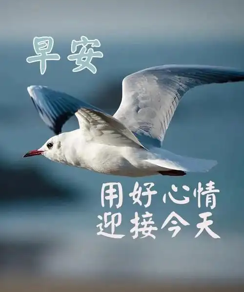 2021年7月7日最新特别漂亮的早安问候语图片,周三早上好问候励志语