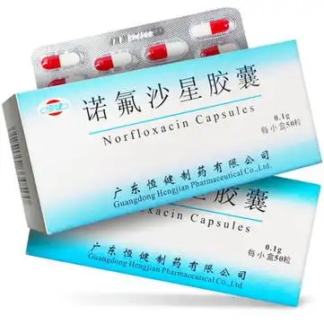 恒健 诺氟沙星胶囊 0.1g*10粒*5板