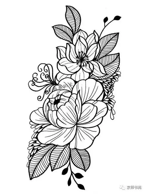 基础手绘练完这些线条你画出的线描就顺畅多啦