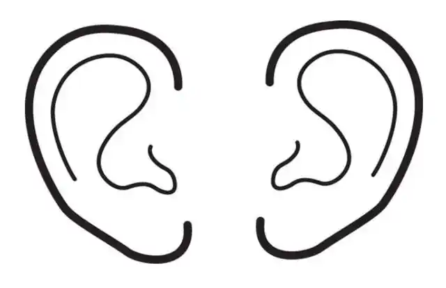 外耳接受外界的声音,并沿着耳道引起鼓膜震动,中耳鼓膜的震动引起锤骨