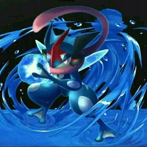 甲贺忍蛙哪一集回归 神奇宝贝甲贺忍蛙哪一集回归小智片反甲贺